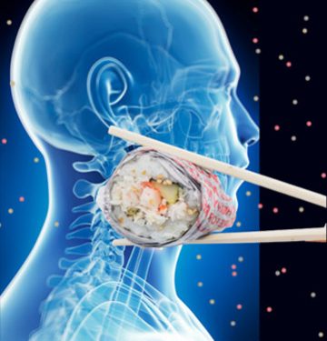 Apa Yang Terjadi Jika Kita Tidak Sengaja Menelan Plastik?